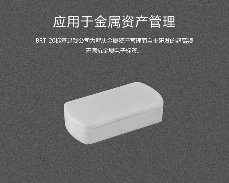 BRT-20带外壳陶瓷抗金属标签 资产管理rfid电子标签